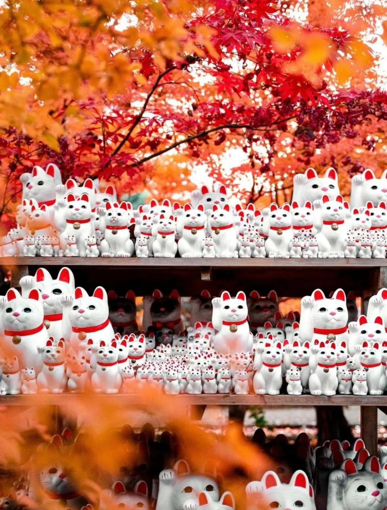 吉吉の家 Villa Tokyo Luaran gambar